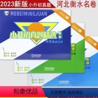 [语文+数学+英语] 小学升初中 [正版]2023河北专版小升初真题精选语文数学英语真题卷河北名校真题试卷小学毕业系统总