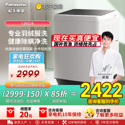 松下12公斤洗衣机家用全自动大容量抗菌除螨Q1L1波轮