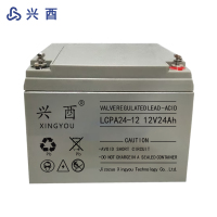 兴酉 UPS电池 12V24Ah 节