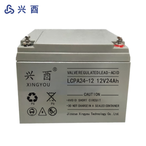 兴酉 UPS电池 12V24Ah 节