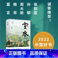 宝水 [正版]宝水 乔叶 茅盾文学奖2022中国好书莫言格非十月文艺图雪山大地千里江山图乡土中国读懂故乡 中国当代文学