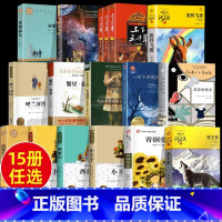 [全套15册]六年级阅读书目 [正版]任选 六年级阅读的课外经典书目 苏菲的世界狼王梦青铜葵花小王子呼兰河传不老泉雾都孤