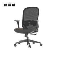 盛铁达 办公椅转椅 STD-HBWY053 把