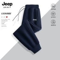 JEEP SPIRIT吉普裤子男2025新款春秋款男款休闲裤宽松男士束脚裤G