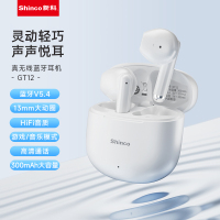 新科Shinco TMS系列真无线蓝牙耳机HY款 GT12