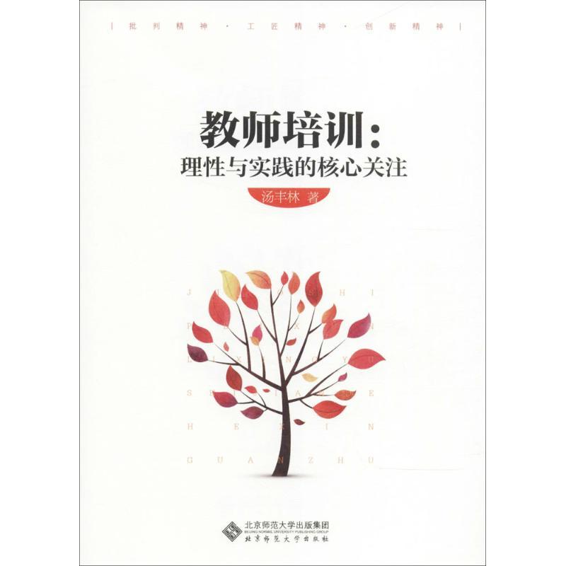 正版新书]教师培训:理性与实践的核心关注汤丰林9787303229017