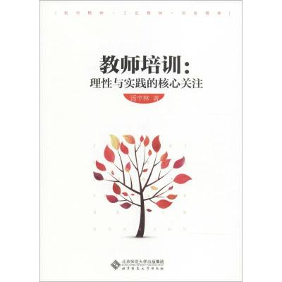 正版新书]教师培训:理性与实践的核心关注汤丰林9787303229017