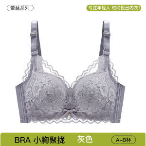2025新款无钢圈内衣女小胸聚拢防下垂收副乳调整型性感蕾丝文胸罩