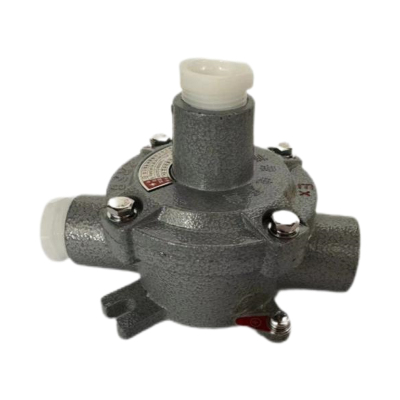 中兴防爆 防爆接线盒BAH系列 BAH-1/2二吊