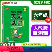 天天默写-人教版 六年级下 [正版]2024春新版小学学霸天天默写六年级下册语文人教版专项同步训练习册默写能手小达人知识