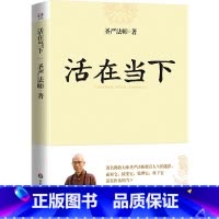 [正版] 活在当下(世界著名佛教大师圣严法师指点人生迷津,提升自我,活在快乐的当下) 书籍