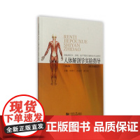人体解剖学实验指导( 第二版)