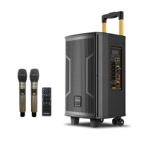 山水(SANSUI) SA5-08跳广场舞音响户外K歌手提拉杆便携式大功率低音炮蓝牙音箱带无线麦克风双话筒套装