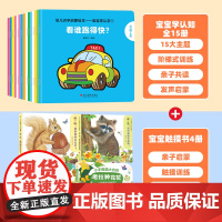宝宝学认字全套15册 幼儿启蒙早教书识字书一岁两岁宝宝绘本0到3岁4岁幼儿识字全脑开发益智早教书籍认字识字大王婴儿绘本亲