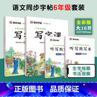 [语文临摹套装]6年级上册+下册(送听写默写本) 小学六年级 [正版]六年级上册语文字帖练字小学生硬笔书法字帖一课一练墨