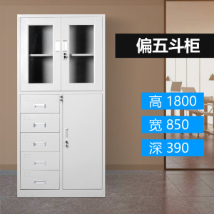 东升顺钢制文件柜资料柜档案柜财务凭证柜带锁储物柜铁皮柜书柜档案柜