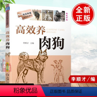 [正版]高效养肉狗 养狗书籍 养狗技术大全书籍 肉狗养殖教程技术书 肉狗场的建设选址 肉狗的饲养管理 肉狗疾病防治 肉
