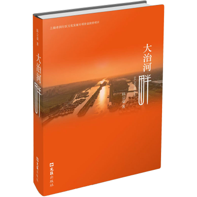 正版新书]大治河畔陈公益 著9787549645022