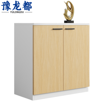 豫龙都文件柜2门个