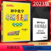 化学 九年级上 [正版]2022秋恩波教育小题狂做巅峰版初中化学九年级上册沪教版HJ 初三9年级上学期同步课时作业辅导资