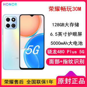 [原封]荣耀畅玩30M 6GB+128GB 全网5G 钛空银 5000mAh大电池 骁龙480 Plus 6.5英寸屏 指纹面容解锁识别 128GB大存储智慧运存拓展 5G手机
