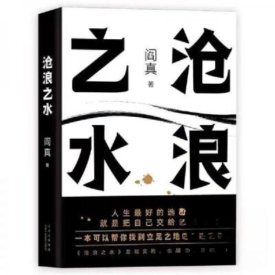 正版新书]沧浪之水阎真 著9787530221525
