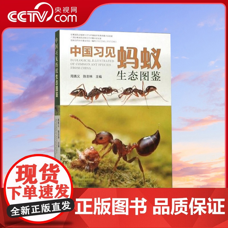 [央视网]中国习见蚂蚁生态图鉴 蚂蚁形态特征 彩色生态图鉴 蚂蚁鉴别鉴赏图案真实图案图书 蚂蚁品种种类大全书籍WX
