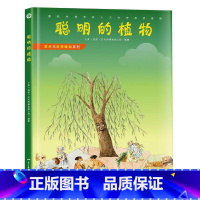 聪明的植物 [正版]发现天才皮肤的秘密生命中不能承受之温暖我们为什么要学习艺术与科学探知系列12册精装绘本系列的创意教程