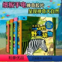 小手电大发现第二辑(全四册) [正版]邦臣小红花小手电大发现动物3-4-5-6岁儿童科普百科全书自然世界翻翻书幼儿读物宝