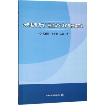 正版书籍大型秸秆沼气工程温室气体减排计量研究高春雨/毕于运