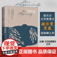 荒原狼 赫尔曼黑塞 诺贝尔文学奖得主无删减完整版外国现当代故事世界名著初高中课外阅读书籍新华正版湖南文艺出版社