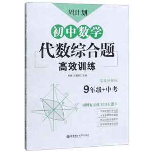 [N]初中数学代数综合题高效训练(9年级+中考)/周计划-9787562860587