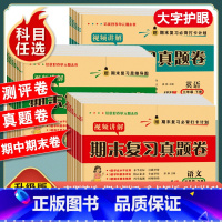 [5本套/人教版]语数英试卷+小学语文必背古诗词+小学英语必背单词 五年级上 [正版]一年级二年级三年级四五六年级上册下