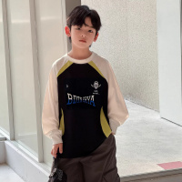 男童长袖T恤春秋款2026新款男孩春装卫衣T中大儿童装痞帅打底上衣