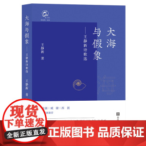大海与假象