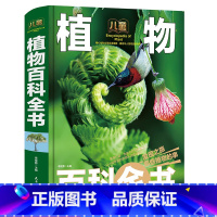 [硬壳精装大开本]植物百科全书 [正版]超大精装大全植物百科全书彩图版小学版6-12岁儿童世界园林花卉成人一部自然博物馆