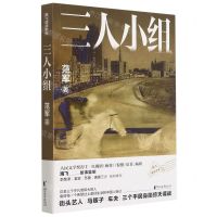 [N]三人小组-9787533965044