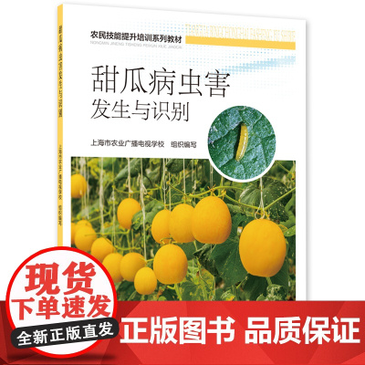 甜瓜病虫害发生与识别