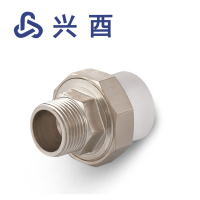兴酉 PP-R外丝活接 63*2 个