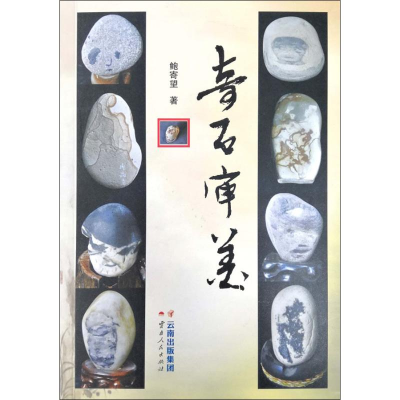 醉染图书奇石审美9787222183858