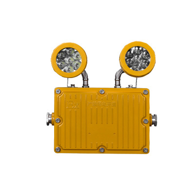 防爆应急灯 XD-360 个