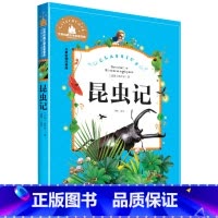[正版]昆虫记 彩图注音版 世界文学名著宝库 6-12岁小学生一二三年级课外书儿童文学 小学生拼音版课外书 史琴 北