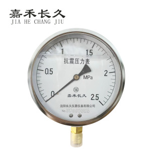 嘉禾长久+耐震压力表检测定制型+YTN150+块