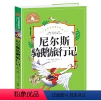 尼尔斯骑鹅旅行记 [正版]兔子坡注音版三年级书籍一年级二年级阅读课外书必读经典书目小学生1-2-3年级带拼音书籍老师推