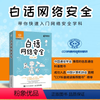 [正版]白话网络安全 翟立东著 32个小故事 语言活泼图文并茂白帽子讲web安全 web安全防攻黑客技术计算机网络安全