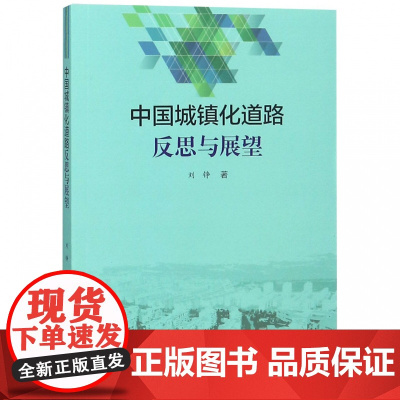 中国城镇化道路反思与展望