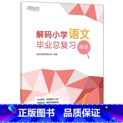 [正版]小学语文毕业总复习精要 小升初文言文 衔接高频考点备考语文辅导 真题模拟题试卷知识点练习复习书籍