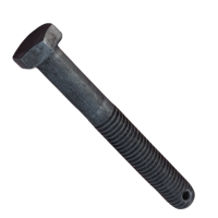 六角头带孔螺栓 GB/T31.1 碳钢4.8级 M22×170mm