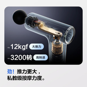 SKG筋膜枪F1MAX(单位:个)