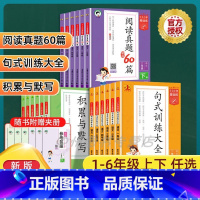 [下册3本]句式训练+真题60篇+积累与默写 小学一年级 [正版]2024秋新版53小学基础练语文积累与默写三年级上册下